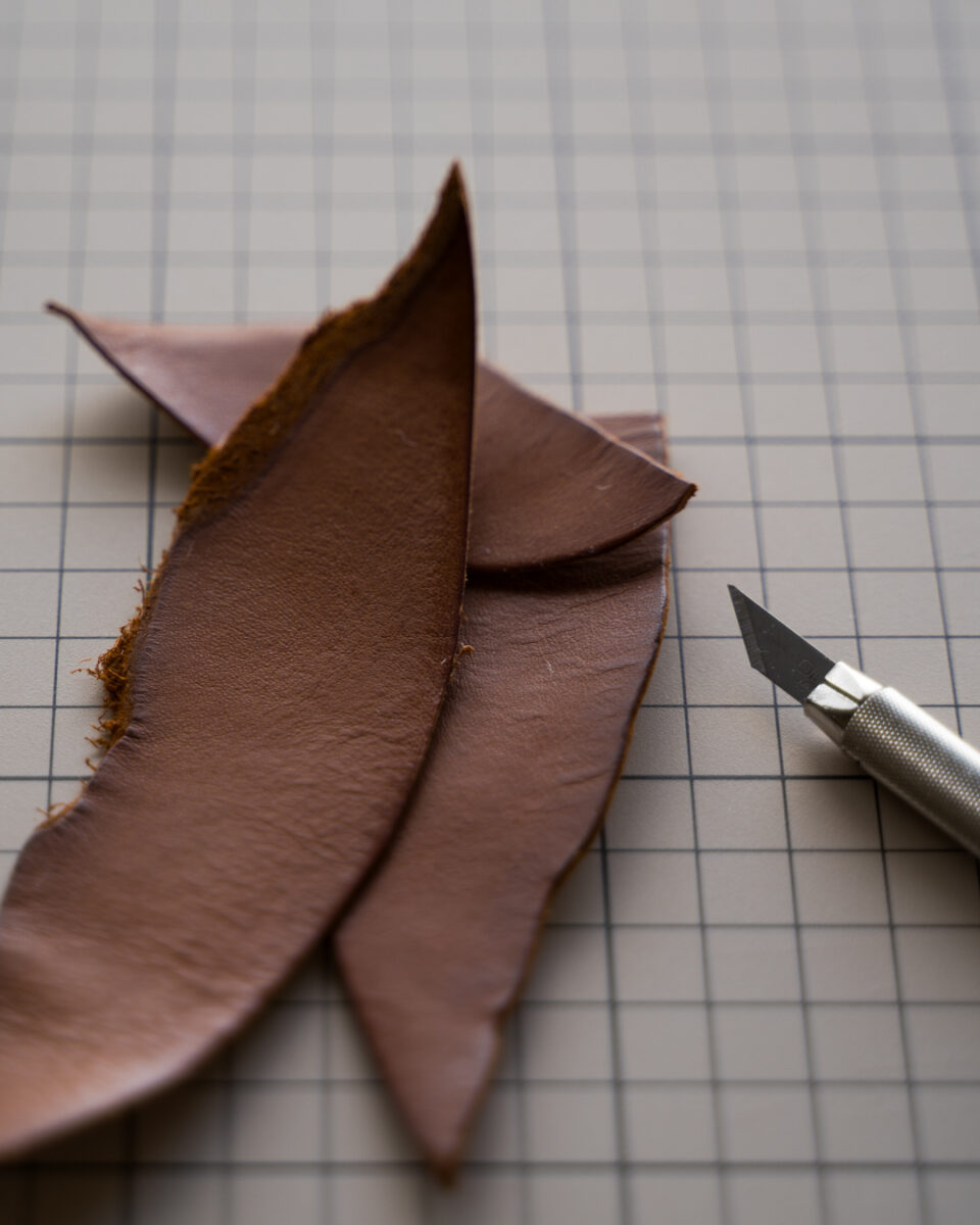 ミネルヴァボックス